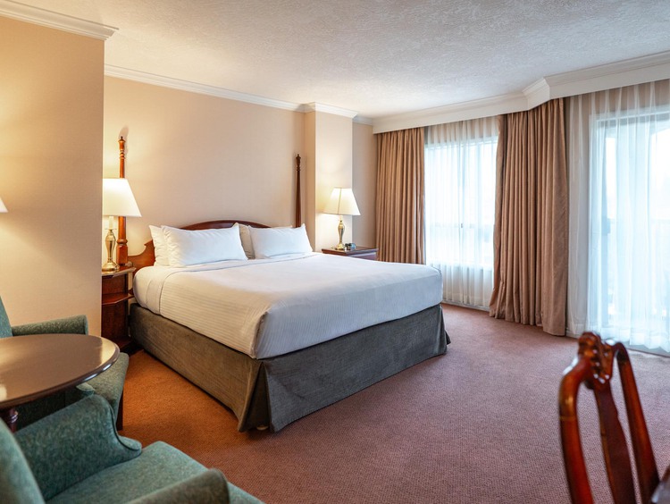 King bed beside a large window